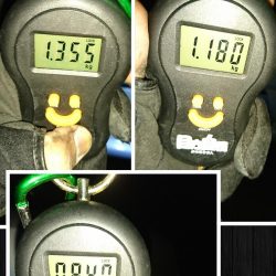 すくすくと成長。